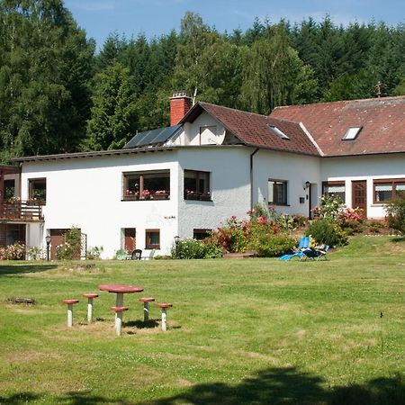 Haus Am Wald - Urlaub Am Nationalpark Appartement Langweiler  Buitenkant foto