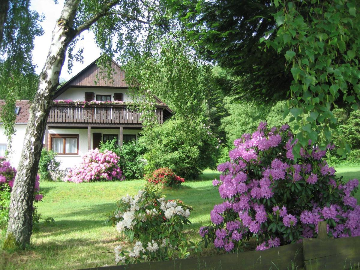 Haus Am Wald - Urlaub Am Nationalpark Appartement Langweiler  Buitenkant foto