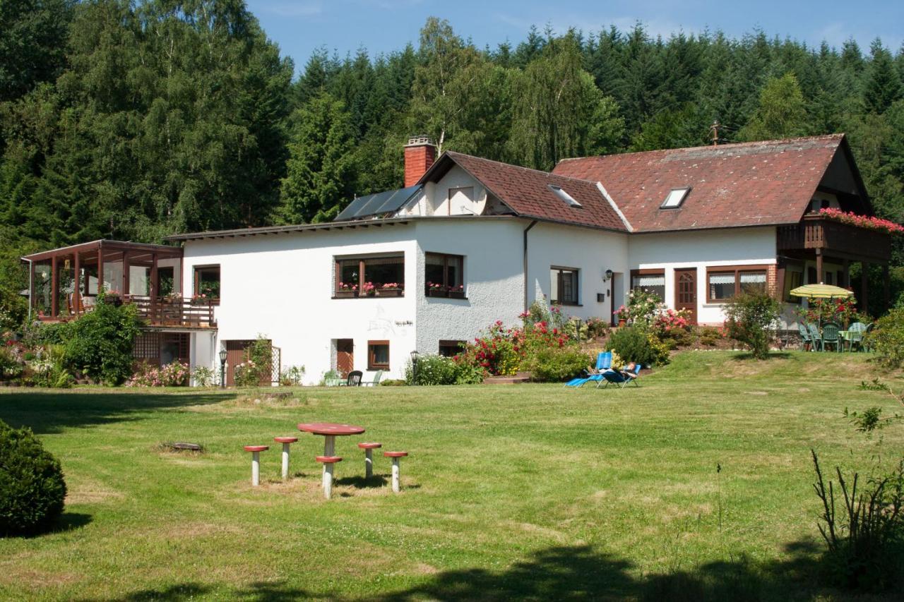 Haus Am Wald - Urlaub Am Nationalpark Appartement Langweiler  Buitenkant foto