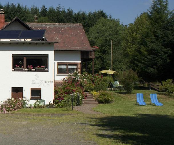 Haus Am Wald - Urlaub Am Nationalpark Appartement Langweiler  Kamer foto